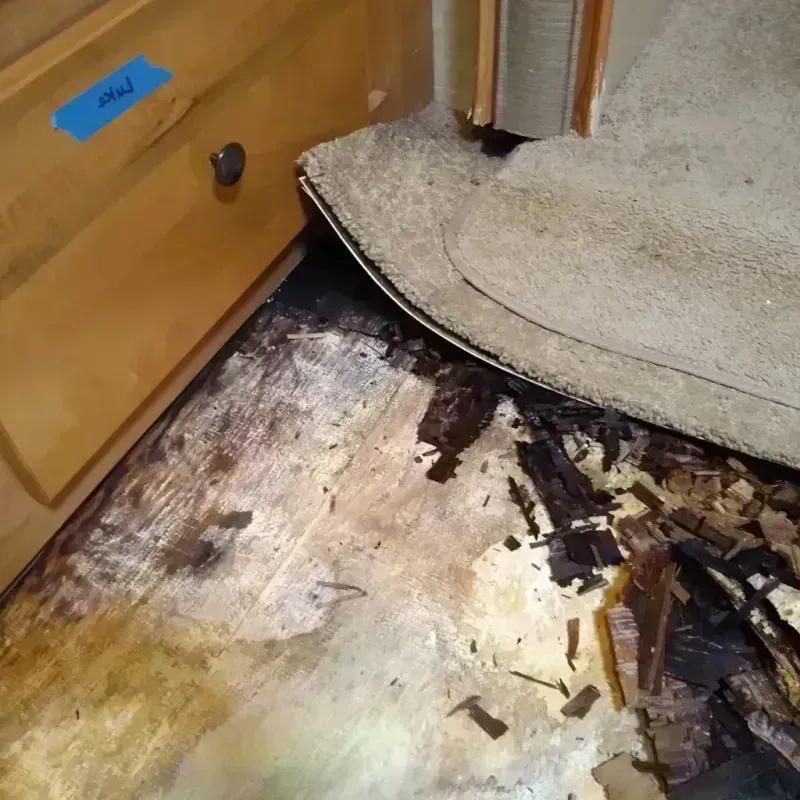 Wood Floor Water Damage in Douglas County, WI